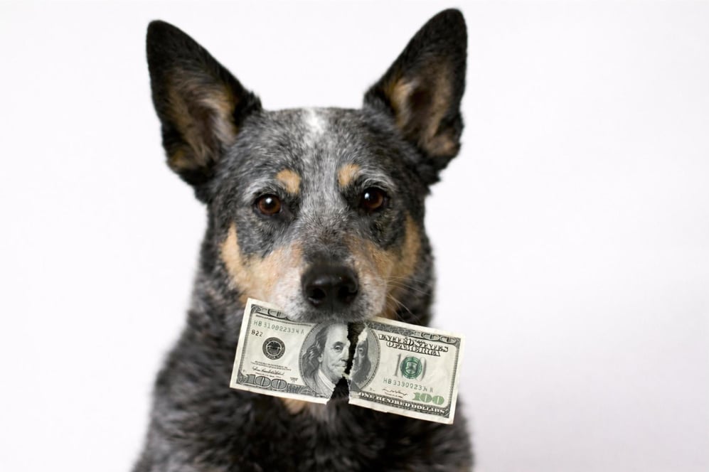 Revenue Leak Image from Chat